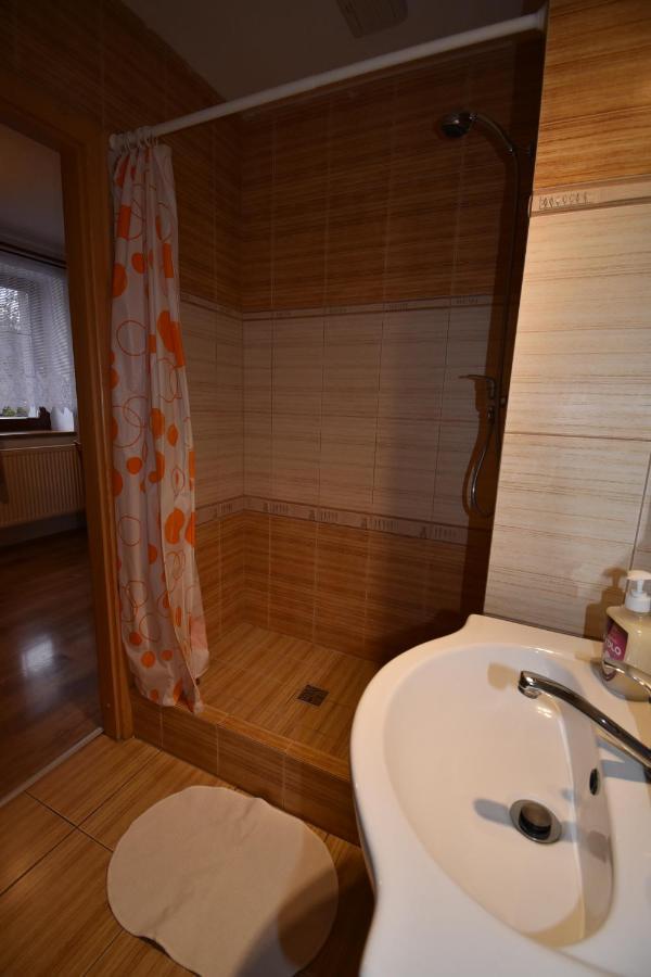 Apartmány Sněženka Destne v Orlickych horach Kültér fotó